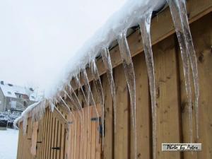 Klick f&uuml;r Originalgr&ouml;&szlig;e :normal_tagesfoto00000286.jpg