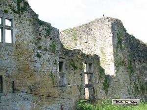 Klick f&uuml;r Originalgr&ouml;&szlig;e :normal_tagesfoto00000287.jpg