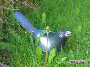 Klick f&uuml;r Originalgr&ouml;&szlig;e :normal_tagesfoto00000295.jpg