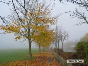 Klick f&uuml;r Originalgr&ouml;&szlig;e :normal_tagesfoto00000300.jpg