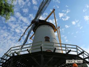 Klick f&uuml;r Originalgr&ouml;&szlig;e :normal_tagesfoto00000302.jpg