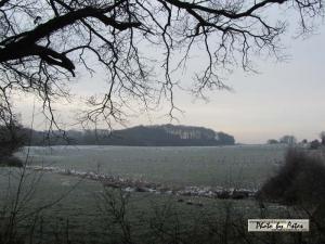 Klick f&uuml;r Originalgr&ouml;&szlig;e :normal_tagesfoto00000311.jpg