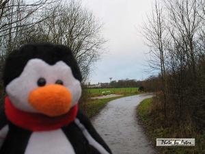 Klick f&uuml;r Originalgr&ouml;&szlig;e :normal_tagesfoto00000312.jpg