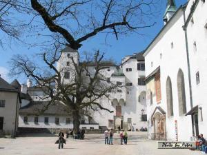 Klick f&uuml;r Originalgr&ouml;&szlig;e :normal_tagesfoto00000393.jpg