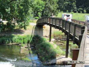 Klick f&uuml;r Originalgr&ouml;&szlig;e :normal_tagesfoto00000405.jpg