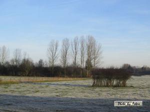 Klick f&uuml;r Originalgr&ouml;&szlig;e :normal_tagesfoto00000410.jpg