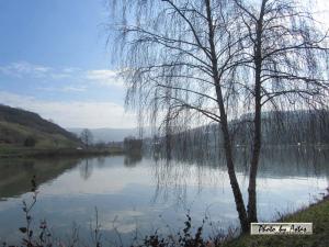 Klick f&uuml;r Originalgr&ouml;&szlig;e :normal_tagesfoto00000411.jpg