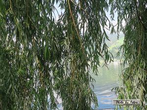 Klick f&uuml;r Originalgr&ouml;&szlig;e :normal_tagesfoto00000413.jpg