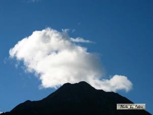 Klick f&uuml;r Originalgr&ouml;&szlig;e :normal_tagesfoto00000433.jpg