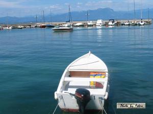 Klick f&uuml;r Originalgr&ouml;&szlig;e :normal_tagesfoto00000436.jpg