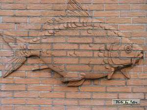 Klick f&uuml;r Originalgr&ouml;&szlig;e :normal_tagesfoto00000439.jpg