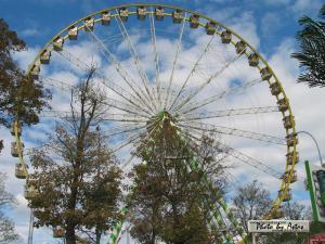 Klick f&uuml;r Originalgr&ouml;&szlig;e :normal_tagesfoto00000447.jpg