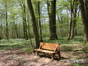 Klick f&uuml;r Originalgr&ouml;&szlig;e :normal_tagesfoto00000448.jpg