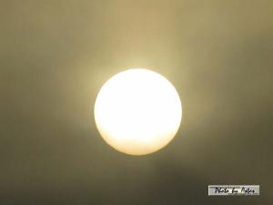 Klick f&uuml;r Originalgr&ouml;&szlig;e :normal_tagesfoto00000601.jpg