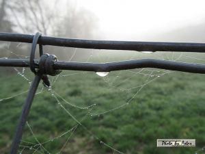 Klick f&uuml;r Originalgr&ouml;&szlig;e :normal_tagesfoto00000602.jpg