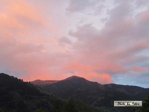 Klick f&uuml;r Originalgr&ouml;&szlig;e :normal_tagesfoto00000606.jpg