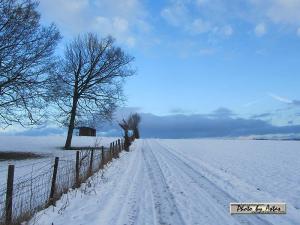 Klick f&uuml;r Originalgr&ouml;&szlig;e :normal_tagesfoto00000607.jpg