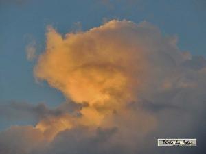 Klick f&uuml;r Originalgr&ouml;&szlig;e :normal_tagesfoto00000609.jpg