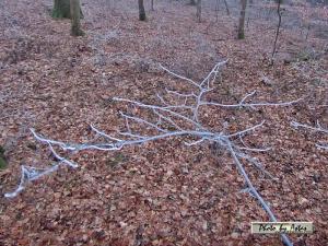 Klick f&uuml;r Originalgr&ouml;&szlig;e :normal_tagesfoto00000613.jpg