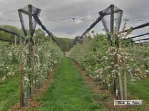 Klick f&uuml;r Originalgr&ouml;&szlig;e :normal_tagesfoto00000616.jpg