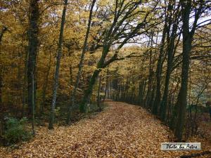 Klick f&uuml;r Originalgr&ouml;&szlig;e :normal_tagesfoto00000623.jpg