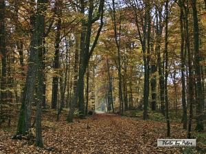 Klick f&uuml;r Originalgr&ouml;&szlig;e :normal_tagesfoto00000624.jpg