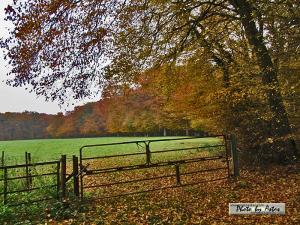 Klick f&uuml;r Originalgr&ouml;&szlig;e :normal_tagesfoto00000630.jpg