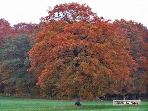 Klick f&uuml;r Originalgr&ouml;&szlig;e :normal_tagesfoto00000631.jpg