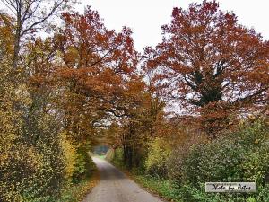 Klick f&uuml;r Originalgr&ouml;&szlig;e :normal_tagesfoto00000632.jpg