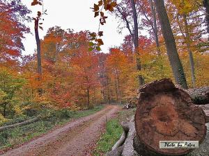 Klick f&uuml;r Originalgr&ouml;&szlig;e :normal_tagesfoto00000637.jpg