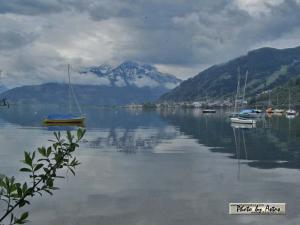 Klick f&uuml;r Originalgr&ouml;&szlig;e :normal_tagesfoto00000639.jpg