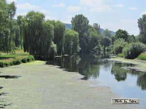 Klick f&uuml;r Originalgr&ouml;&szlig;e :normal_tagesfoto00000795.jpg