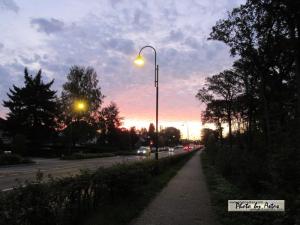 Klick f&uuml;r Originalgr&ouml;&szlig;e :normal_tagesfoto00000910.jpg