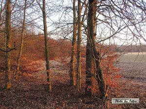 Klick f&uuml;r Originalgr&ouml;&szlig;e :normal_tagesfoto00000911.jpg