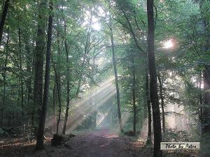 Klick f&uuml;r Originalgr&ouml;&szlig;e :normal_tagesfoto00000912.jpg