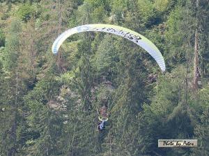 Klick f&uuml;r Originalgr&ouml;&szlig;e :normal_tagesfoto00000913.jpg