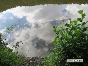 Klick f&uuml;r Originalgr&ouml;&szlig;e :normal_tagesfoto00000915.jpg