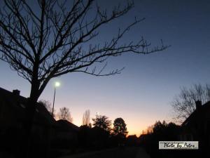 Klick f&uuml;r Originalgr&ouml;&szlig;e :normal_tagesfoto00000916.jpg