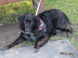 Klick f&uuml;r Originalgr&ouml;&szlig;e :normal_tagesfoto00000922.jpg