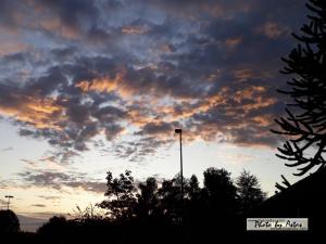 Klick f&uuml;r Originalgr&ouml;&szlig;e :normal_tagesfoto00000928.jpg