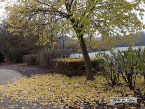 Klick f&uuml;r Originalgr&ouml;&szlig;e :normal_tagesfoto00000929.jpg