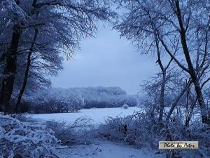 Klick f&uuml;r Originalgr&ouml;&szlig;e :normal_tagesfoto00000930.jpg