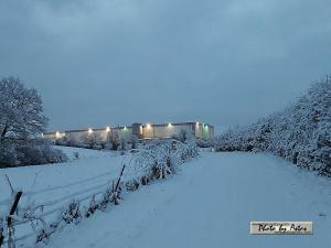 Klick f&uuml;r Originalgr&ouml;&szlig;e :normal_tagesfoto00000931.jpg