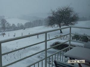 Klick f&uuml;r Originalgr&ouml;&szlig;e :normal_tagesfoto00000932.jpg