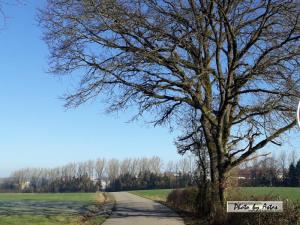 Klick f&uuml;r Originalgr&ouml;&szlig;e :normal_tagesfoto00000933.jpg