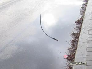 Klick f&uuml;r Originalgr&ouml;&szlig;e :normal_tagesfoto00000934.jpg