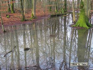 Klick f&uuml;r Originalgr&ouml;&szlig;e :normal_tagesfoto00000939.jpg