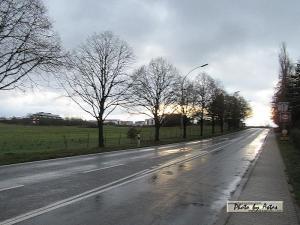 Klick f&uuml;r Originalgr&ouml;&szlig;e :normal_tagesfoto00000940.jpg