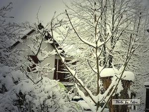 Klick für Originalgröße :Wetterkabriolen000003.jpg