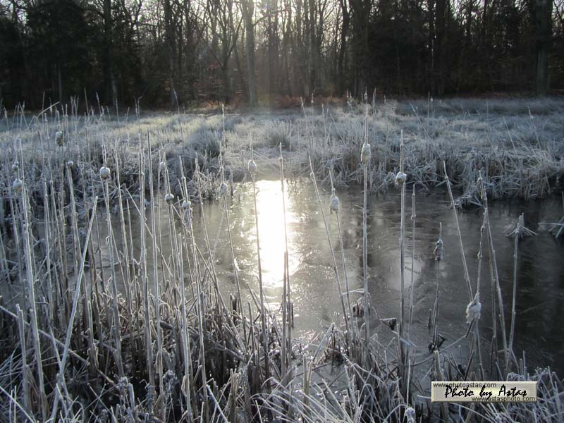 Schliessen von wetterkabriolen00012.jpg